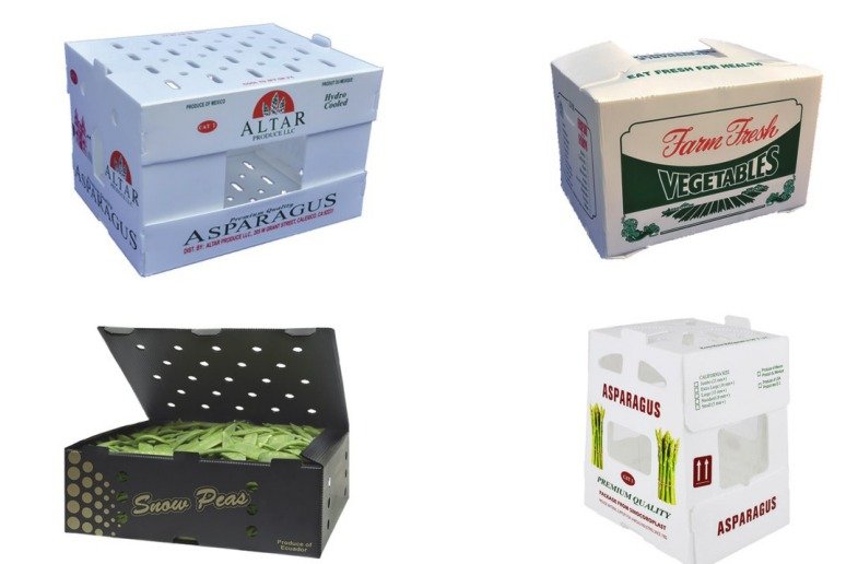 Hộp nông sản nhựa danpla